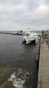 DSC_0656-169x300_2